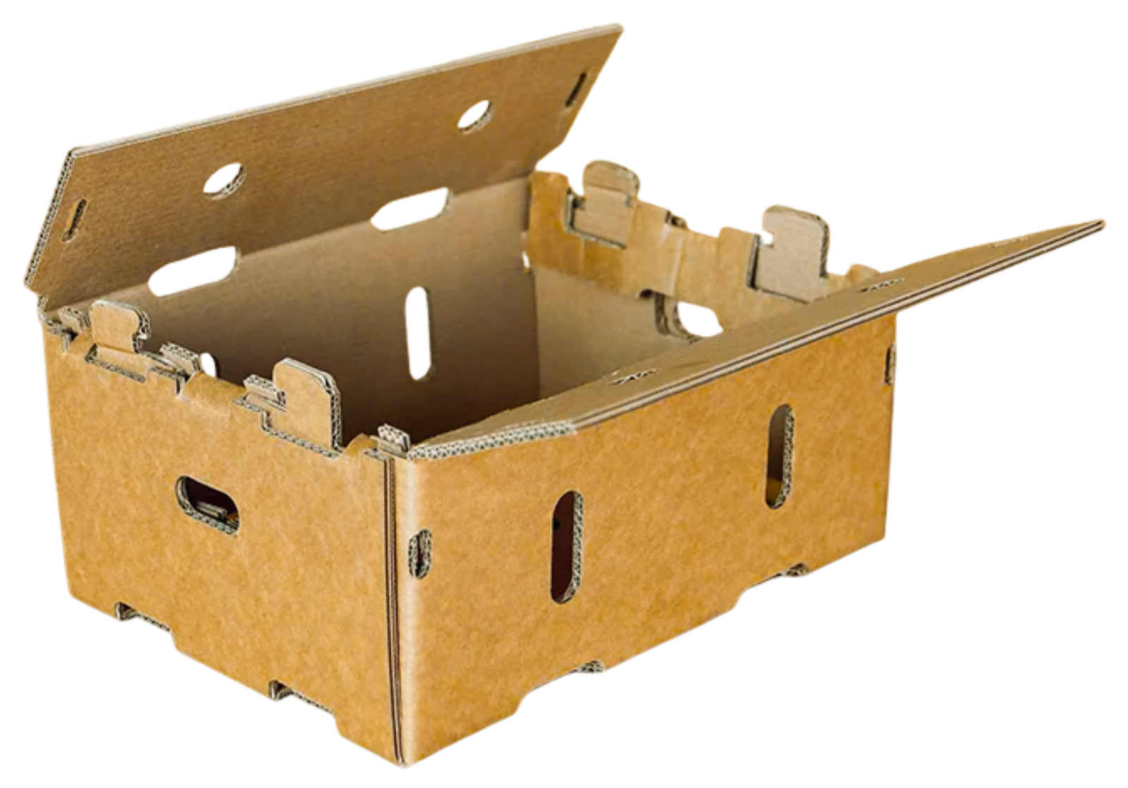 Contenedores de carton