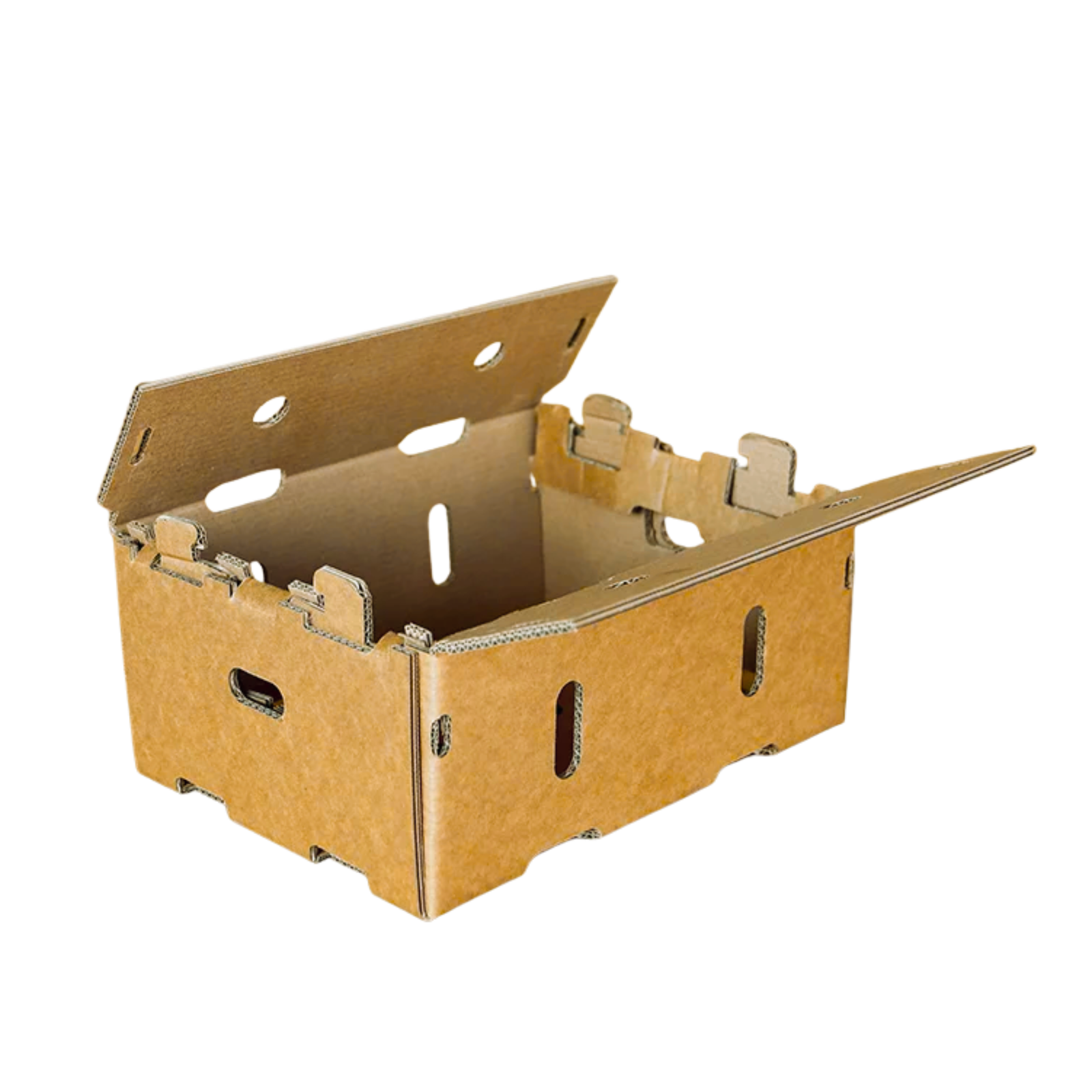 Contenedores de carton