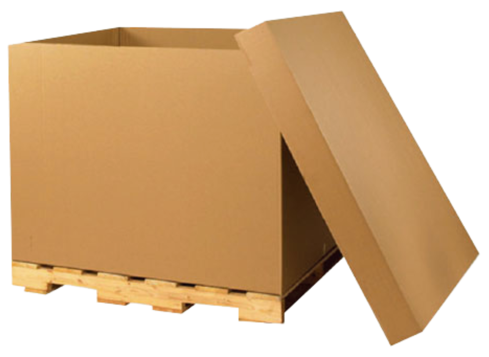 Contenedores de carton